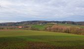 Tocht Stappen Elzele - Marche Adeps à Ellezelles - Photo 4