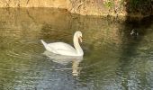 Tocht Stappen Uzès - Fontaine d’Eure - Photo 3