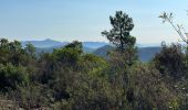 Excursión Senderismo Bagnols-en-Forêt - Crête Diaou et gorges du Blavet - Photo 5