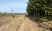 Tocht Stappen Manhay - Malempré Oster Aisne 24,5 km - Photo 2