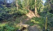 Randonnée Marche Namur - Du Piroy à Malonne  - Photo 6