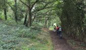 Tocht Stappen Landéda - Aber Wrach - Aber Benoît - Aber Wrach  - Photo 1