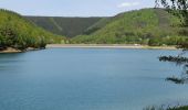 Trail Walking Stavelot - Coo Tour lac - Photo 3