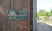 Trail Walking Montreuil - Montreuil patcs - Photo 4