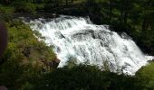 Tour Wandern Névache - au fil de la Claree - Photo 19