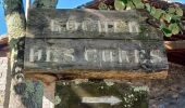 Trail Walking Labeaume - ARDECHE. LA BAUME. GORGES DE LA BAUME. LEBAUME.DOLMENS OE - Photo 3