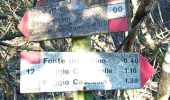 Tour Zu Fuß Sesto Fiorentino - Il Sentiero Delle Cime - 61 - Comune di Vaglia - Photo 9