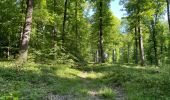 Excursión Senderismo Fleury - en Forêt de Retz_92_05_2022_Rond d'Orléans_Chapeau des Cordeliers_la Laie des étangs de Longpont - Photo 10