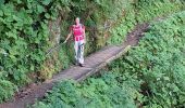 Trail Walking Stosswihr - gaschney-grotte Dagobert - Photo 2