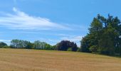Trail Walking Esneux - mery . hayen . hautgne . betgne . fontain . avionpuits . mery - Photo 2