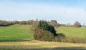 Tour Zu Fuß Steinheim - Rundwanderweg A2 [Bergheim] - Photo 5