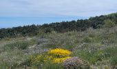 Excursión  Plan-d'Aups-Sainte-Baume - ST BAUME PAS DE L AIL CHEMIN MERVEILLEUX  - Photo 2