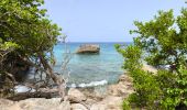 Excursión Senderismo Saint-François - Guadeloupe - Pointe des Châteaux (2024) - Photo 3