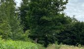 Trail Walking Neufchâteau - Bois d’Ospau - Photo 3