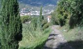 Trail On foot Levanto - Tuvo – C.sa Massola – M.Focone - innesto 591 - Photo 2