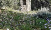 Tour Wandern Solliès-Pont - Sollies Pont.La chapelle St Christine.  - Photo 2