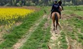 Trail Horseback riding Hériménil - Élodie 2 tivio - Photo 9