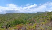 Trail Walking Vivès - mme sentier de Vives  - Photo 15