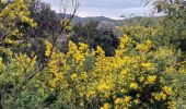 Tocht Stappen Tanneron - Les Mimosas-Tanneron-13-01-2023 - Photo 3