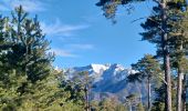 Tour Wandern Draix - DRAIX .REFUGE DE BELON .CRETE DE LA BLACHE .O L  - Photo 4