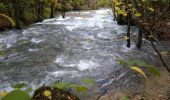 Tour Wandern Arbois - Arbois 22 oct 2019 CAF - Photo 9