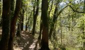 Randonnée Marche Crozant - crizant fresselines(3) - Photo 12
