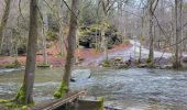 Tour Wandern Saint-Hubert - Arville 230323 - Photo 7