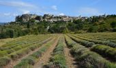 Tocht Stappen Saignon - Saignon - Circuit des Bories - Photo 1