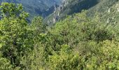 Trail Nordic walking Massegros Causses Gorges - Point sublime et tour du Causse de Sauveterre - Photo 10