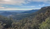 Tour Wandern Valflaunès - autour fe valfaunes 34 et par les crêtes - Photo 8