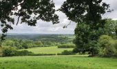 Tour Wandern Manhay - rando deux rys 29/06/2020 - Photo 12