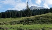 Trail On foot Cortina d'Ampezzo - IT-8 - Photo 4