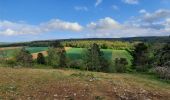 Excursión Senderismo Viroinval - Le cours du Viroin - Photo 6