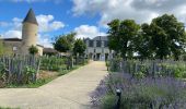 Randonnée Marche Sauternes - Châteaux de Sauternes - Photo 2