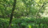 Randonnée A pied Breckland - Great Eastern Pingo Trail - Photo 4