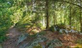 Tocht Stappen Vresse-sur-Semois - Balade à Chairière - Vresse sur Semois - Photo 11