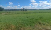 Tocht Stappen Genepiën - Promenade à Bousval - Photo 6