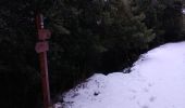 Trail Walking Escragnolles - Escragnolles , Rouyère chapelle Saint Matin en hiver - Photo 14