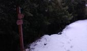 Tocht Stappen Escragnolles - Escragnolles , Rouyère chapelle Saint Matin en hiver - Photo 14