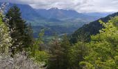 Trail Walking Le Glaizil - 20190528_Chapeau de l'évêque via Le Glaizil - Photo 2