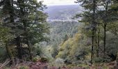 Tour Wandern La Bourboule - La Bourboule - Roche de Vendée- Rocher de l Aigle - Photo 5