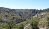 Tocht Stappen Cheval-Blanc - Gorges de regalon - Photo 5