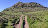 Trail Walking Orcines - le puy de dome - Photo 3