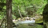 Randonnée Marche Thuès-Entre-Valls - Gorges de  la Carança vers refuge - Photo 3