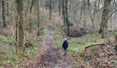 Trail Walking Chaumont-Gistoux - Dion-le-Val Bonlez - Photo 8