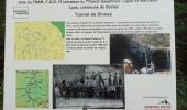 Randonnée Marche Roybon - Dionay - Photo 7