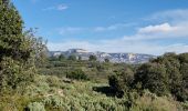 Tocht Stappen Cheval-Blanc - merindol - Photo 1