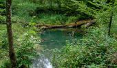 Trail On foot Roeser - Old Fleche Bleu Berchem/Bivange - Photo 8