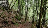 Randonnée Marche Libin - Promenade de la Lesse (8,6km)   - Photo 5