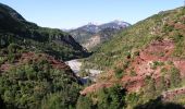 Trail On foot Guillaumes - Gorges de Daluis - Photo 3